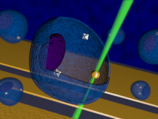 Illustration for article titled This Is a Heat Map of a Single, Living Cell